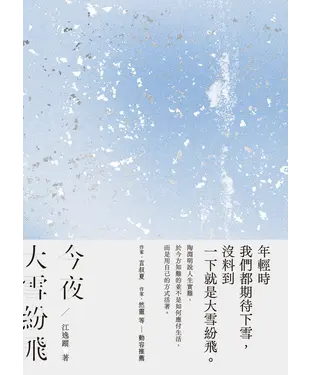 書封 今夜大雪紛飛